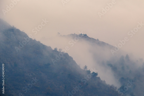 View of foggy mountain with trees © EnesBerkay