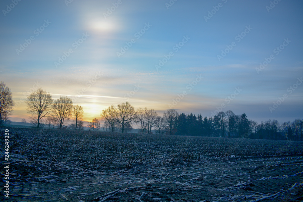 Feld im Winter im Sonnenaufgang