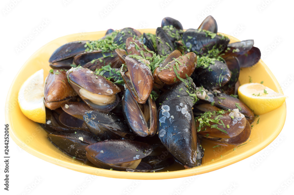 Fresh mussels. Mussels isolated on white background. Fresh mussels. Mussels isolated on white background.