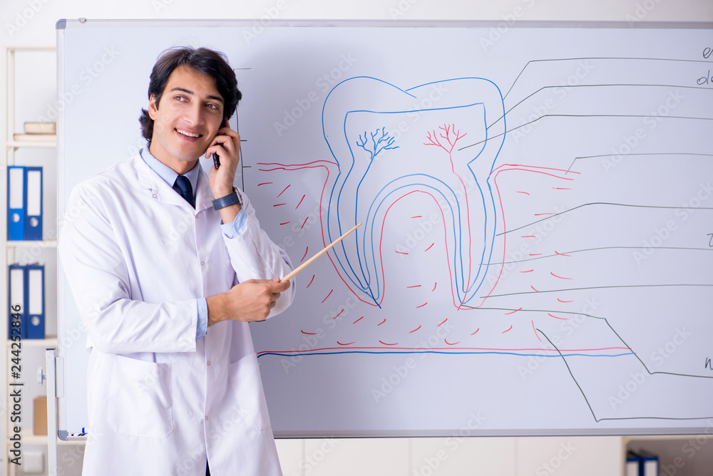 Young handsome dentist in front of the whiteboard Young handsome dentist in front of the whiteboard