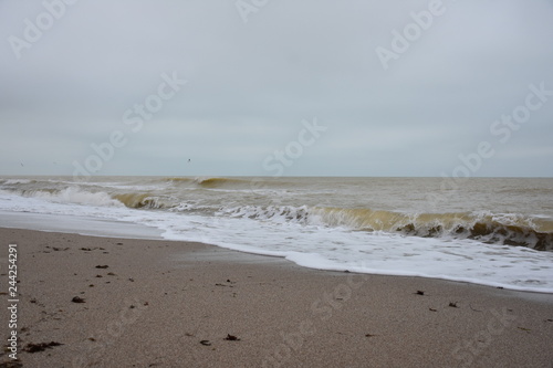 Winter sea and the beach in shades of creme brulee © fees_tashka_