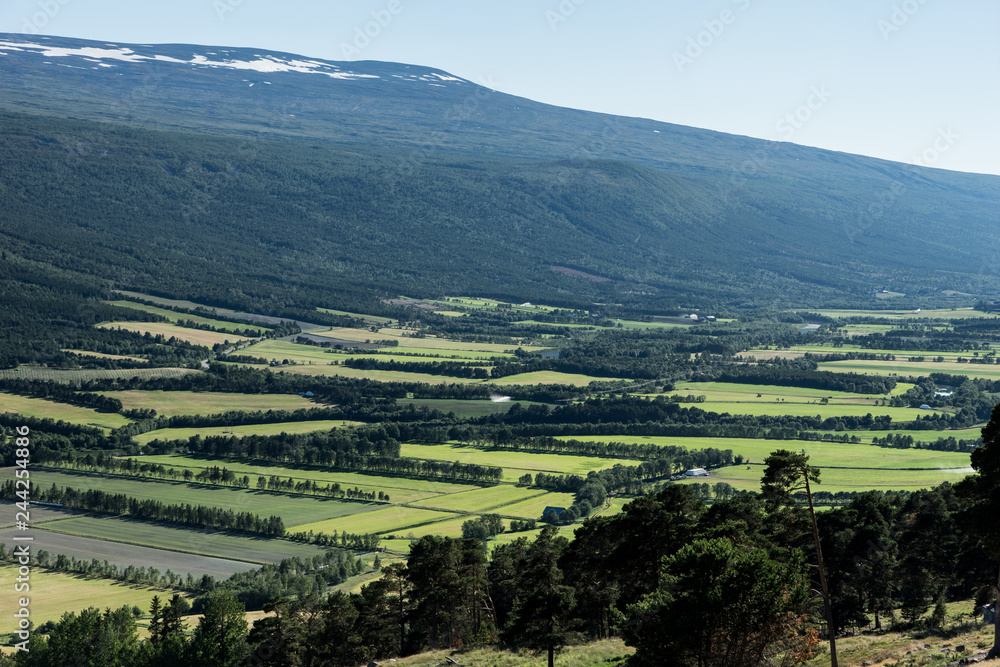 Felder und Wiesen im Romsdalen