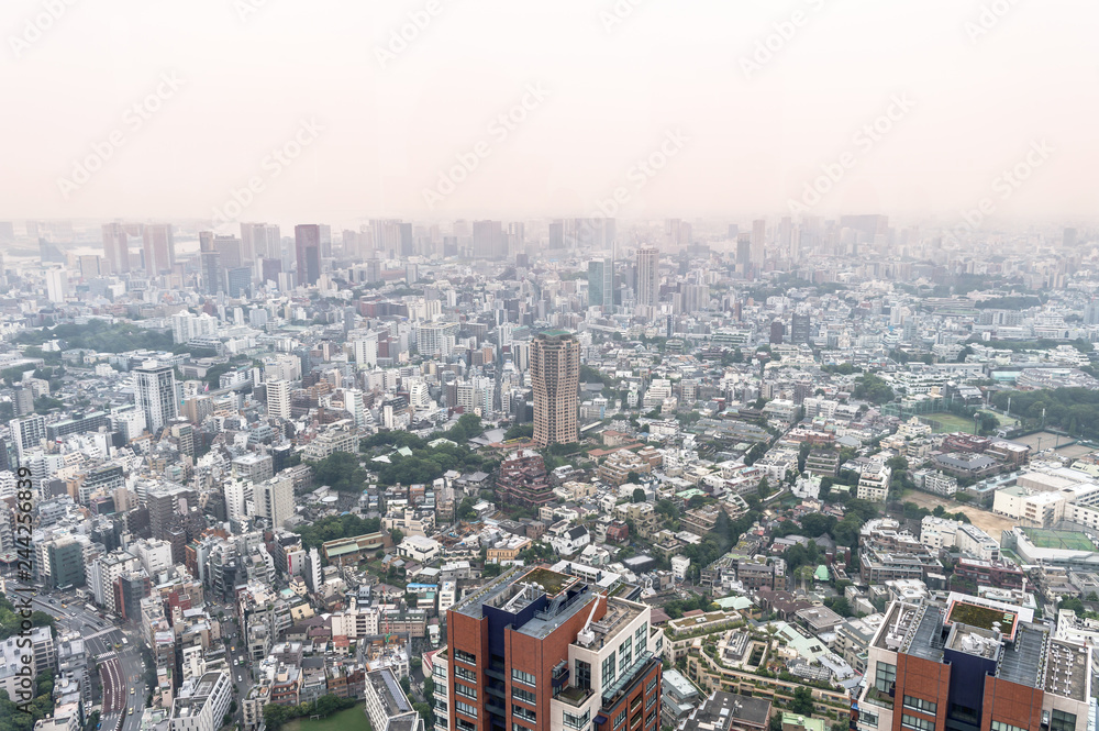 Obraz premium Aerial view of Tokyo skyline, Japan
