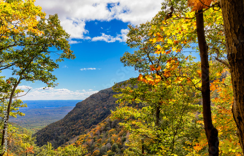 autumn landscape with trees and blue sky