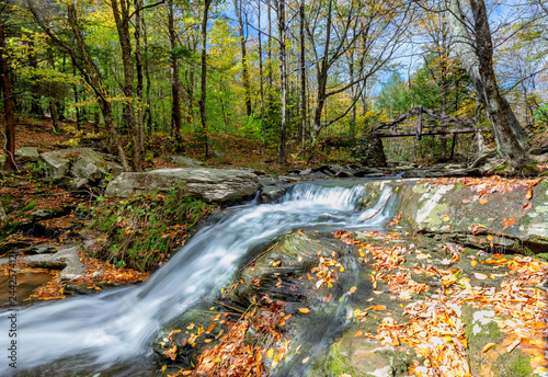 stream in autumn