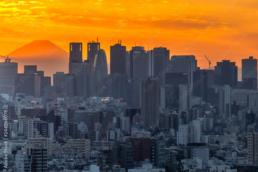 新宿の街並みと富士山　夕景