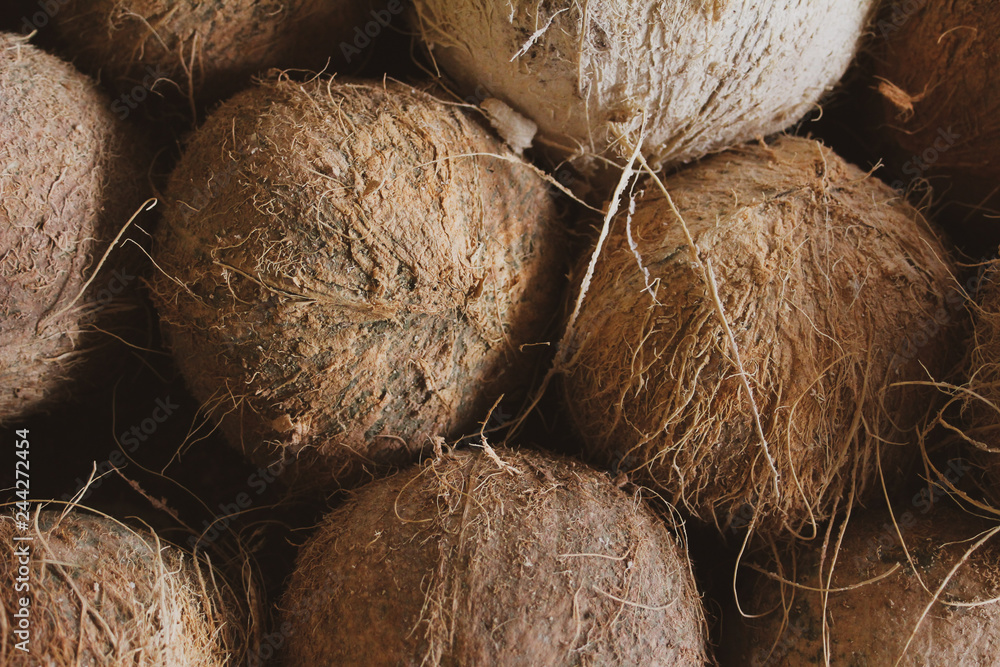 Coconuts Coconuts