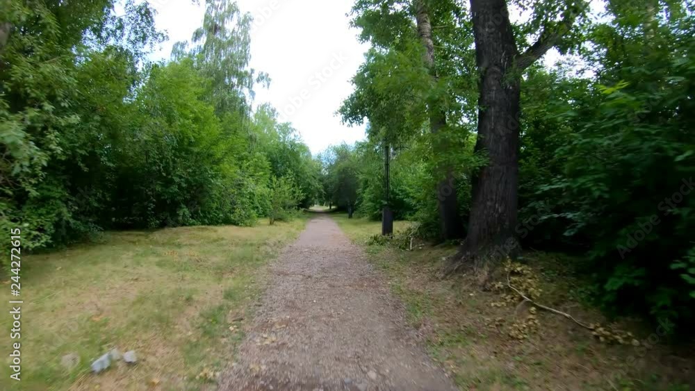 Cycling in the park. Riding a bike on a forest trail. POV. Slow motion Cycling in the park. Riding a bike on a forest trail. POV. Slow motion