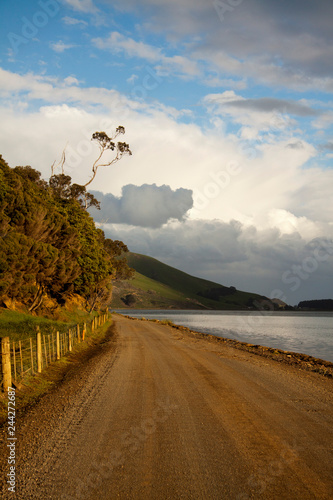 Single tree near gravel road with moody sky