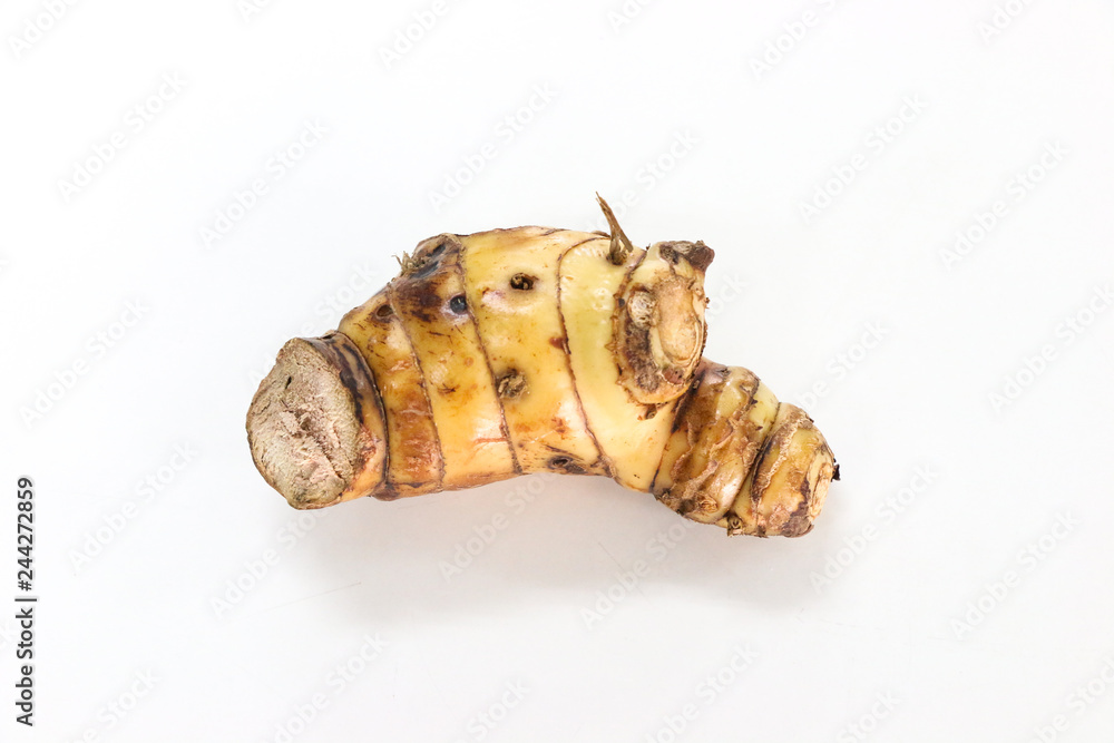 Obraz premium Galanga Close up