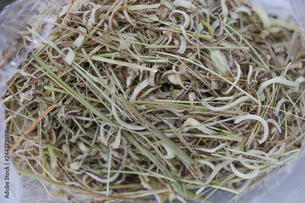 Dry Lemongrass Close up