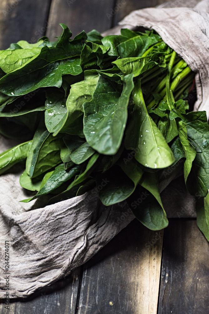 Fototapeta premium Spinach photography