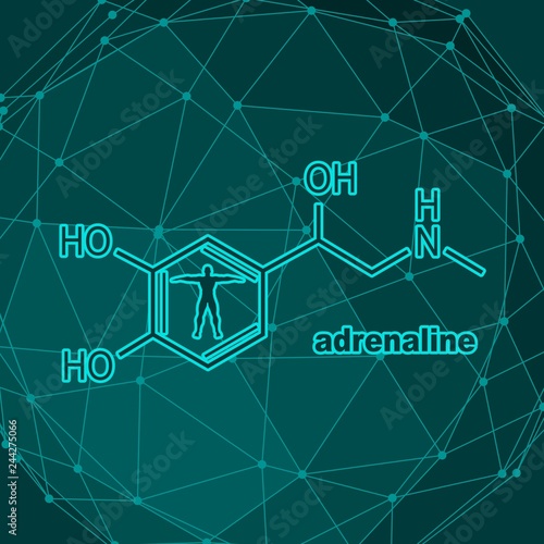 Chemical molecular formula hormone adrenaline. Infographics illustration. Man silhouette