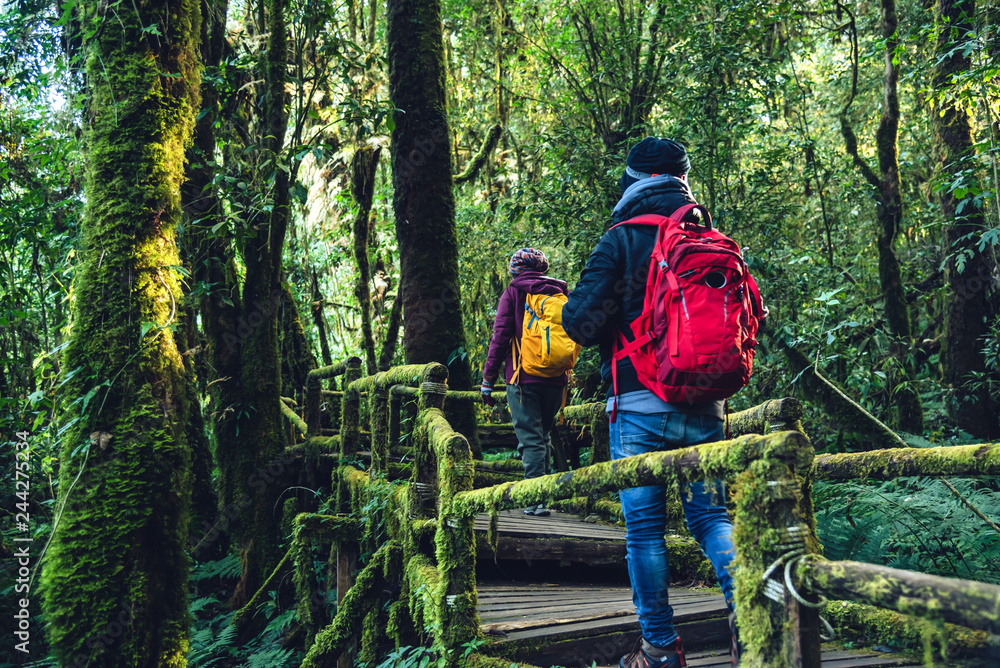 Couples traveling, relax in winter. walking travel to study nature in the rainforest. at the angka, Chiangmai in Thailand. Couples traveling, relax in winter. walking travel to study nature in the rainforest. at the angka, Chiangmai in Thailand.