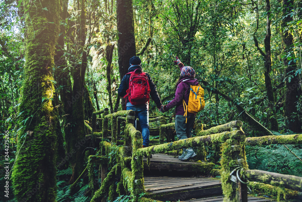Couples traveling, relax in winter. walking travel to study nature in the rainforest. at the angka, Chiangmai in Thailand. Couples traveling, relax in winter. walking travel to study nature in the rainforest. at the angka, Chiangmai in Thailand.