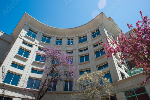 St. Charles Courthouse II