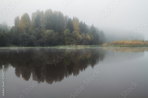 misty morning on the shore of the pond © smolskyevgeny