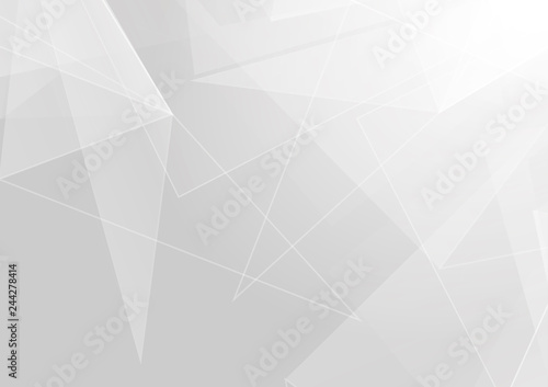 Abstract polygon white and gray color modern background design. Illustration vector design