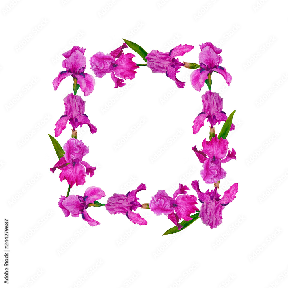  Wreath flowers irises watercolor decoration design botanical illustration textiles invitations greeting card frame spring