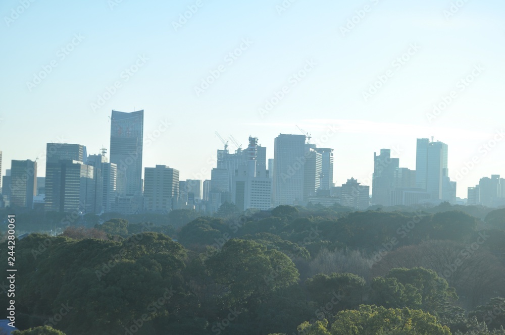 Fototapeta premium silhouette of city at sunset