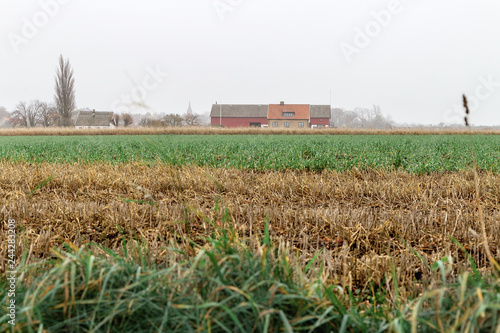 Scandinavian pastoral landscape. Yellow and green fields surrounding a cosy Sweden village under gray north sky. Ven Island photo