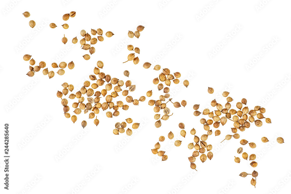 Coriander seeds isolated on white background, top view. Coriander seeds isolated on white background, top view.