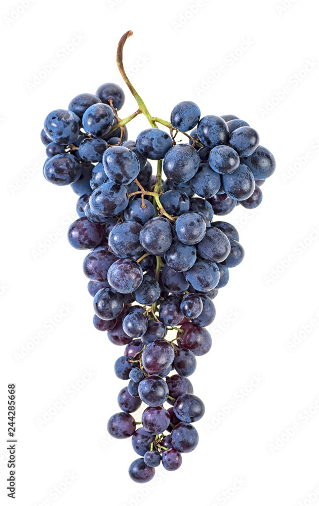 Bunch of fresh blue grape isolated on white background Bunch of fresh blue grape isolated on white background