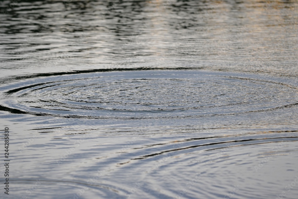 circles on the water circles on the water