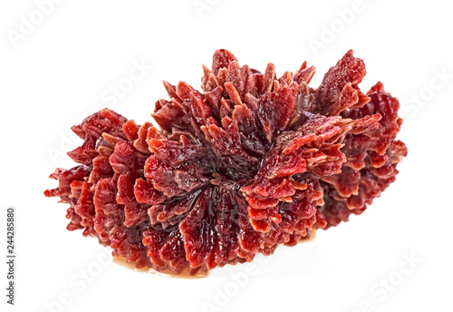 Сream of tartar on a white background. Potassium Tartrate. Potassium salt of tartaric acid. Wine stone.