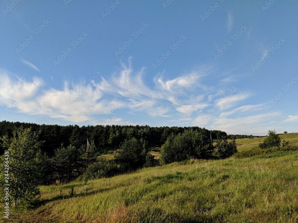 landscape with green field and blue sky