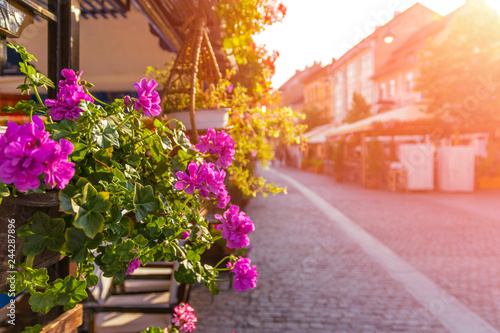 Fototapeta Naklejka Na Ścianę i Meble -  Beautiful pedestrian street in a medieval town with flowers on the terrace on a summer sunrise in Sibiu, Romania