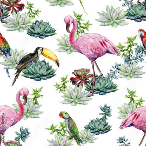 Watercolor succulents seamless pattern. Watercolor of medium-sized green Alex...