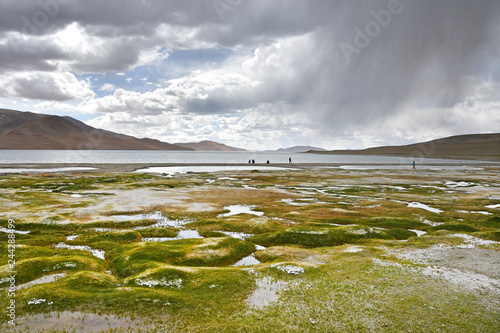 China, Tibet. Tourists on the store of the lake Ngangla Ring Tso in summer rainy day photo