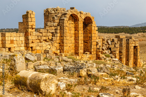 Ruins of the ancient Roman town Ammaedara (modern Haidra), Tunisia photo