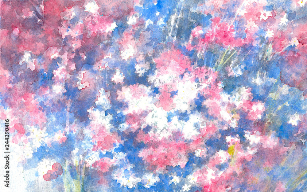 Flowerbed of white, pink and blue Alpine Forget-me-nots. Watercolor illustration.