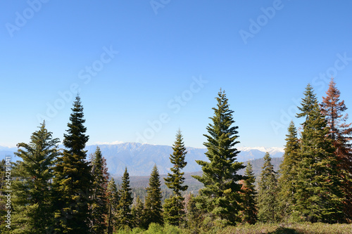 Beautiful landscape in Sequoia National Park, California, USA