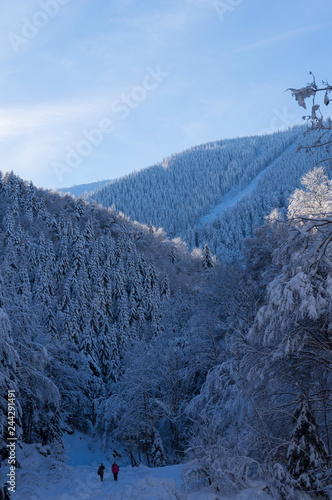 Frozen winter landscape  © Gabriel Teleptean