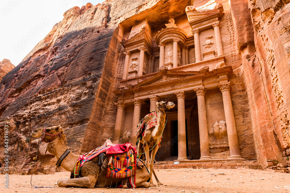 Naklejka premium Spectacular view of two beautiful camels in front of Al Khazneh (The Treasury) at Petra. Petra is a historical and archaeological city in southern Jordan.