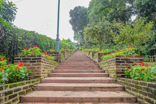 Stairway in phu phing palace chiang mai thailand