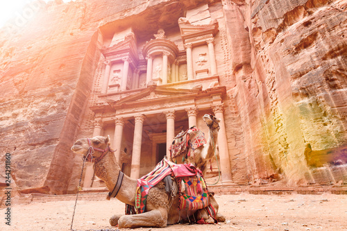 Spectacular view of two beautiful camels in front of Al Khazneh (The Treasury) at Petra. Petra is a historical and archaeological city in southern Jordan.