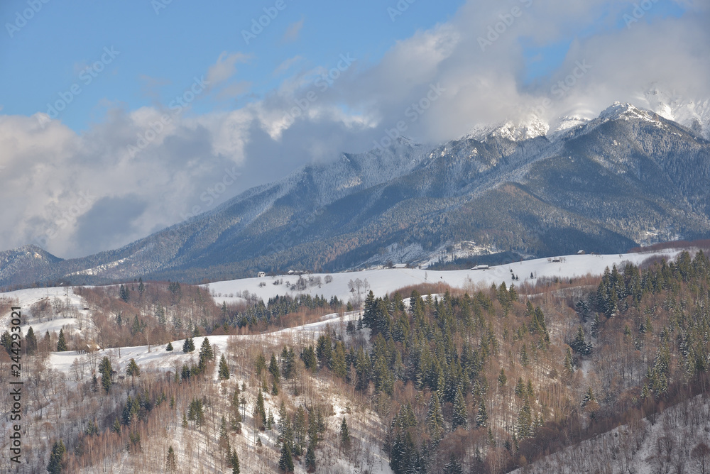 Beautiful day of winter on magical wild Transylvania mountain hills.