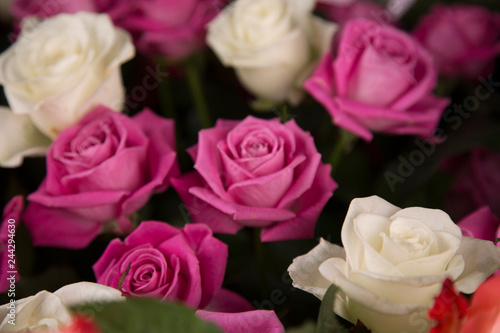 A bouquet of white and pink roses for a Valentine s gift.