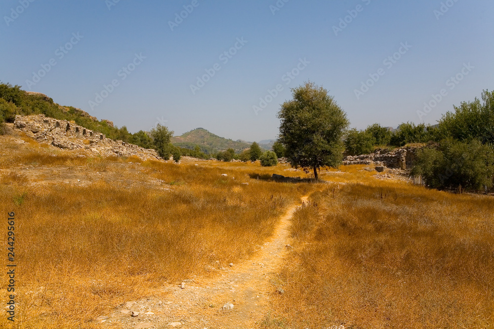 Obraz premium The path among the withered grass.