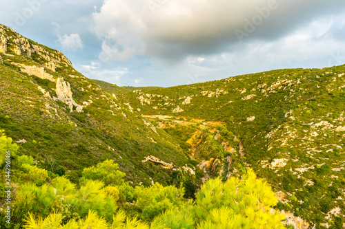 Greece, Zakynthos, Untouched natural green valley nature landscape at dawn photo