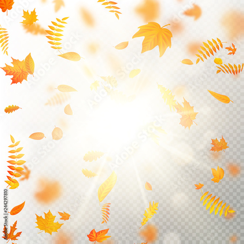 Effect of autumn falling leaves layer with shallow DOF blur. Autumnal foliage fall template. Warm color. EPS 10