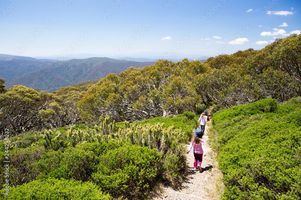 Mount Buller Walking and Biking Trails in Summer Mount Buller Walking and Biking Trails in Summer