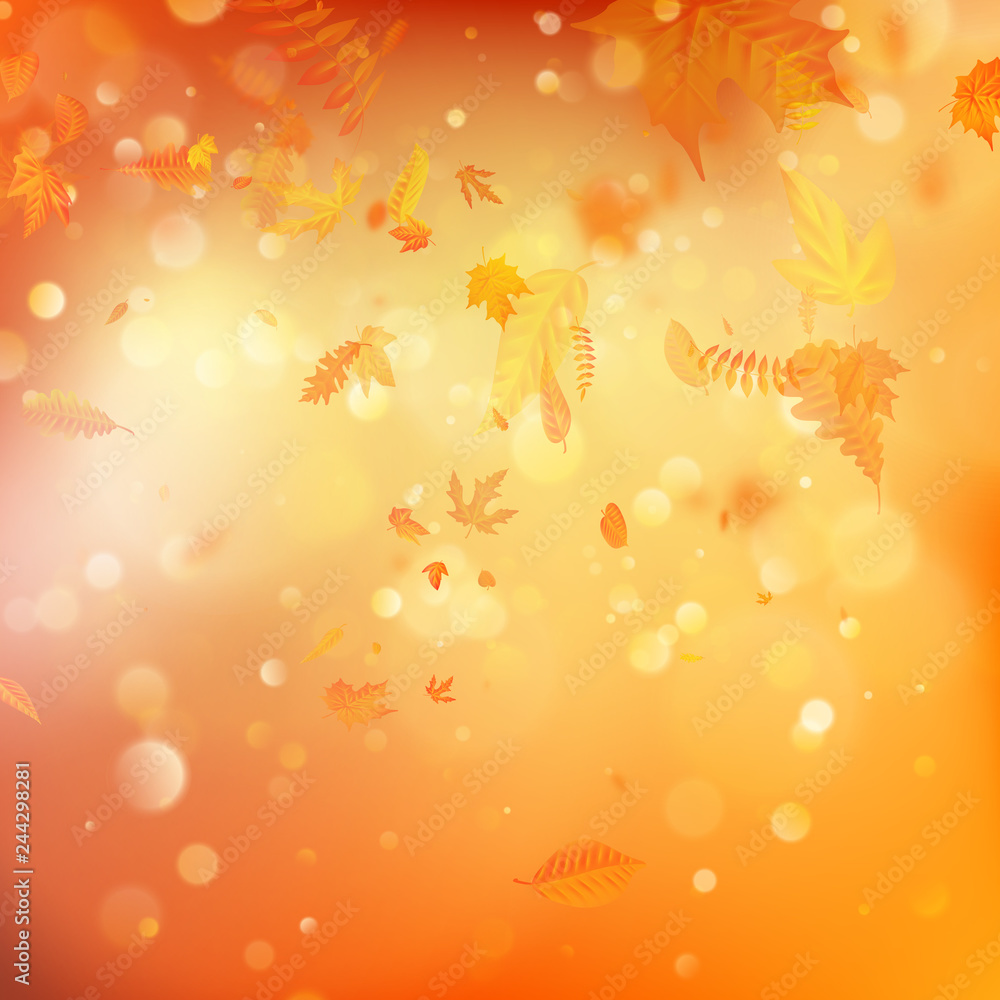 Autumn background with natural leaves and bright sunlight. EPS 10
