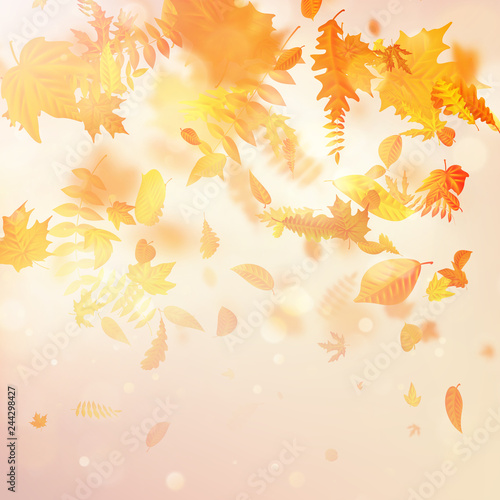 Autumnal foliage fall and poplar leaf flying in wind motion blur. EPS 10