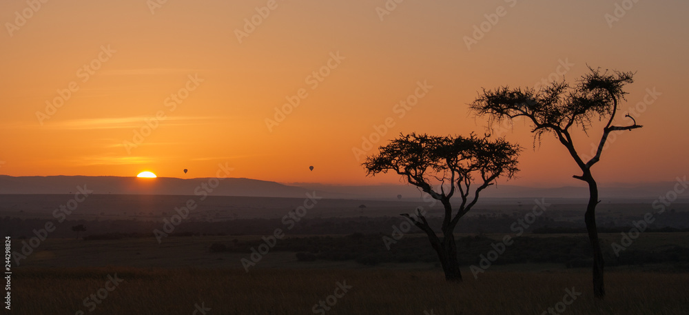 Tramonto con alberi di acacia, Kenya