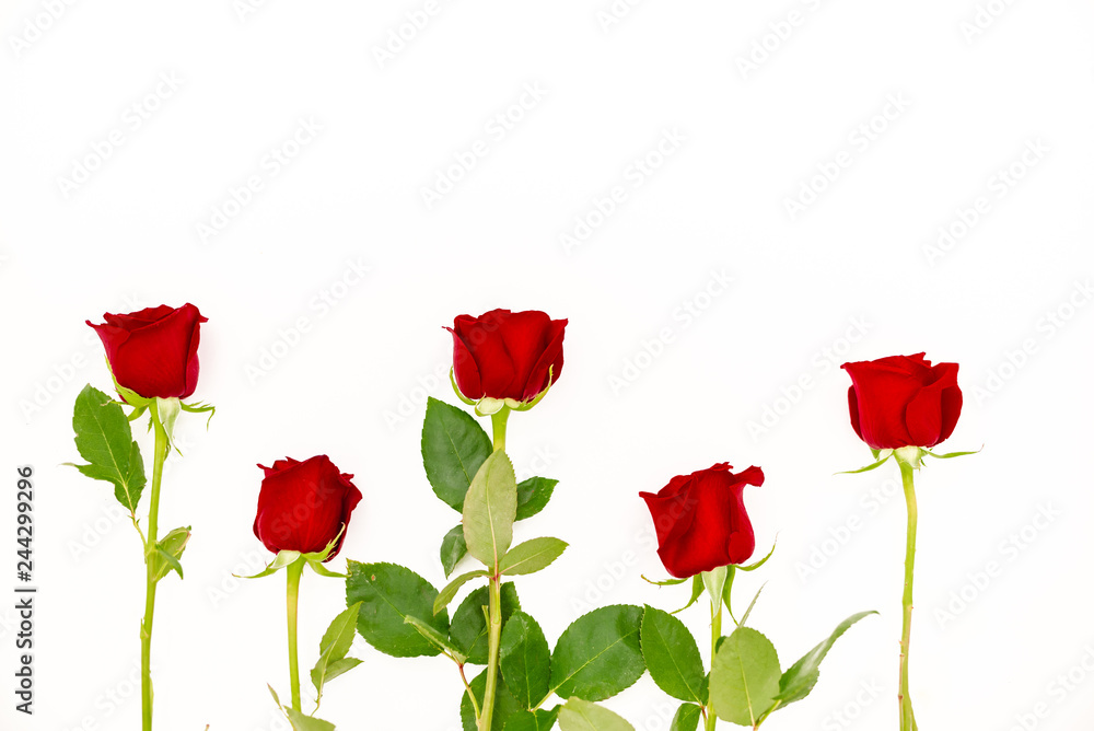 Bouquet of red roses with a red ribbon. Eights march woman's day, holiday. Flowers on a white background copespace. Horizontal top view Bouquet of red roses with a red ribbon. Eights march woman's day, holiday. Flowers on a white background copespace. Horizontal top view